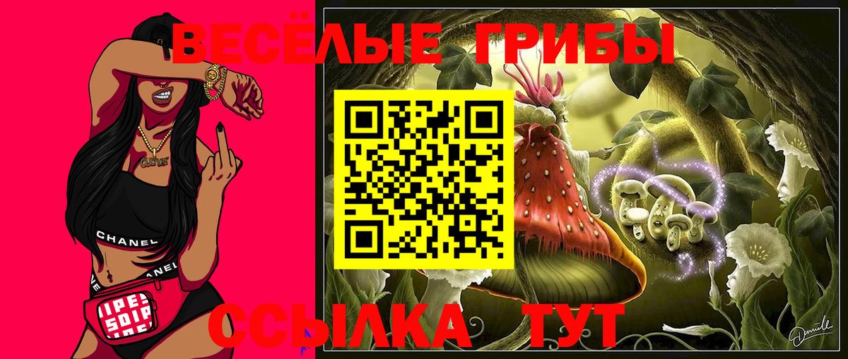 Пугачёв  Галлюциногенные грибы прущие грибы  Вход с VPN 