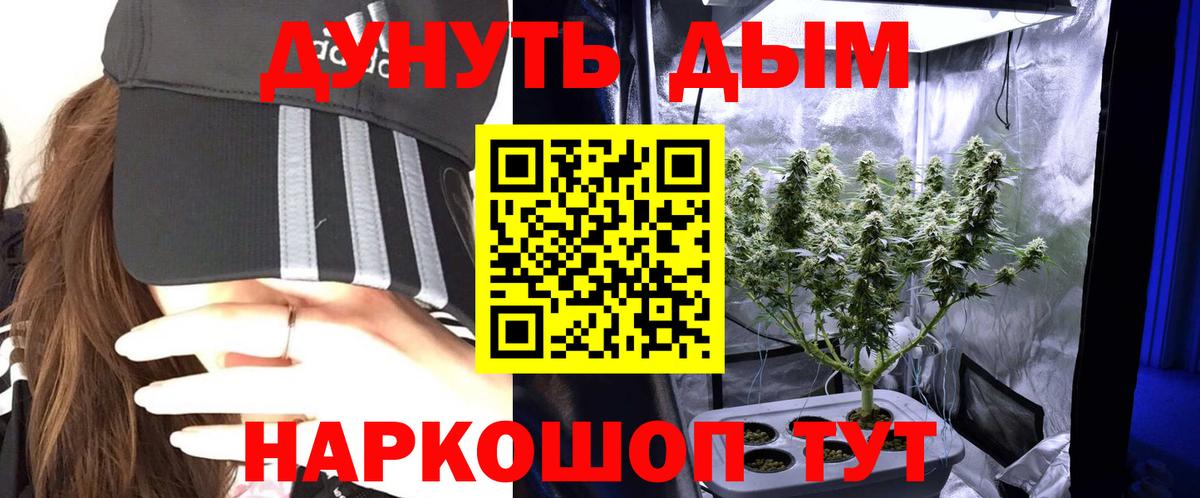 Пугачёв  Бошки марихуана Amnesia  Вход с VPN  Канабис сатива  МАРИХУАНА THC 21% 